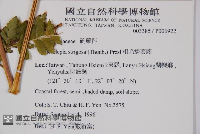 Accession Number:P006922 Collection Image, Figure 2, Total 5 Figures