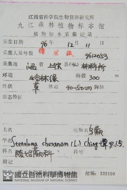 烏蕨藏品圖，第2張