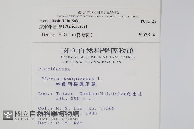 疏羽半邊旗藏品圖，第2張