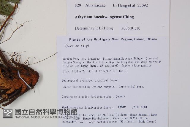 登錄號:P010722藏品圖，第5張