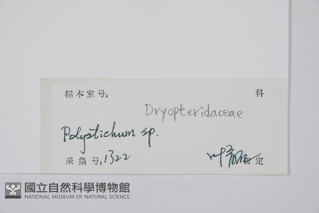 登錄號:P012522藏品圖，第2張