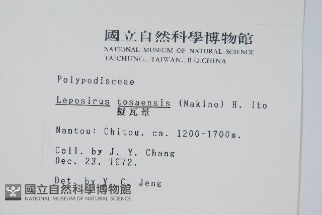 擬瓦葦藏品圖，第2張