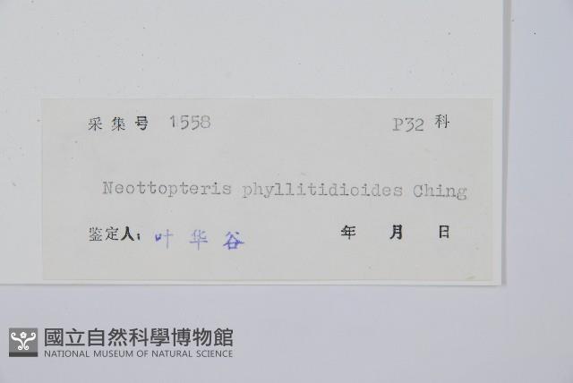 登錄號:P005322藏品圖，第2張