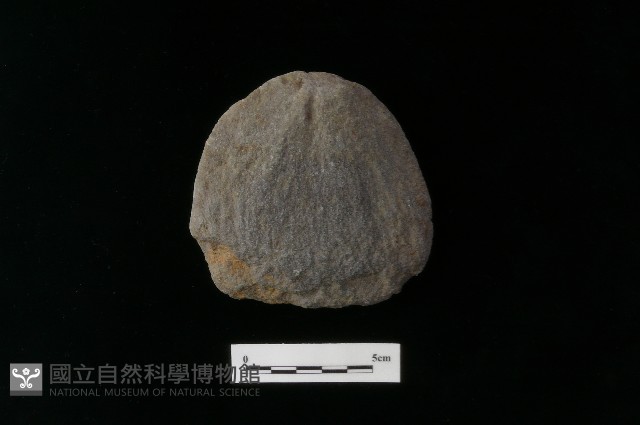 石片器藏品圖，第2張