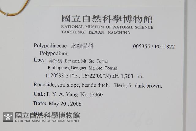 登錄號:P011822藏品圖，第2張