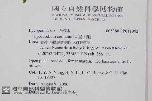 過山龍藏品圖，第2張