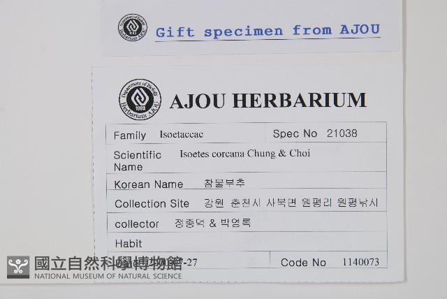 登錄號:P011102藏品圖，第2張