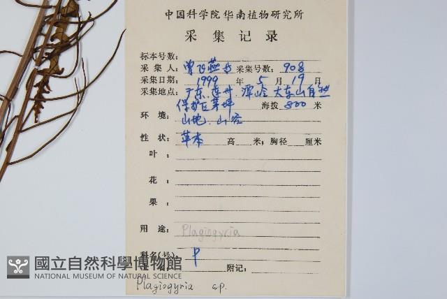 登錄號:P008602藏品圖，第2張