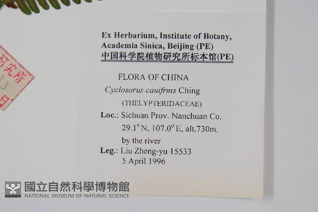 登錄號:P005702藏品圖，第2張