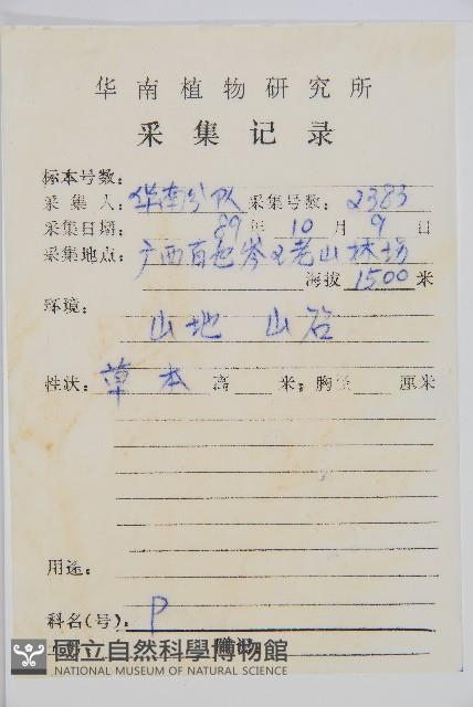 薄葉鐵角蕨藏品圖，第2張