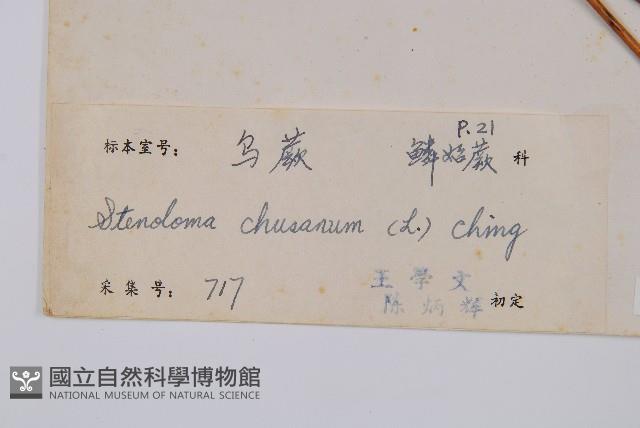 烏蕨藏品圖，第2張