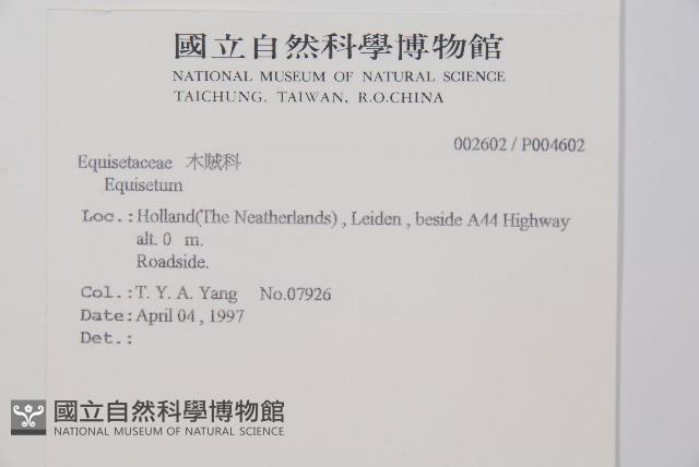 登錄號:P004602藏品圖，第2張