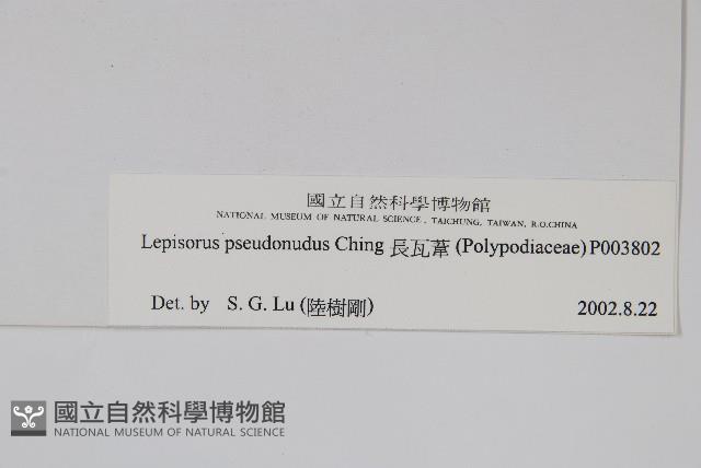 長瓦葦藏品圖，第2張