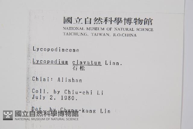 石松藏品圖，第2張