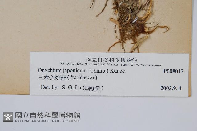 Accession Number:P008012 Collection Image, Figure 2, Total 2 Figures