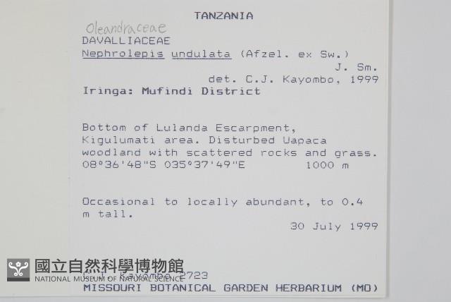 登錄號:P010012藏品圖，第2張