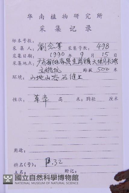 生芽鐵角蕨藏品圖，第2張