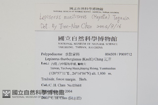 擬芨瓦葦藏品圖，第2張