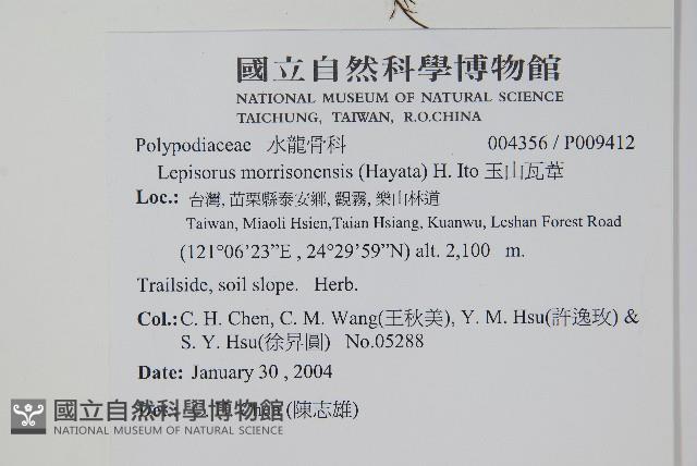 粵瓦葦藏品圖，第2張