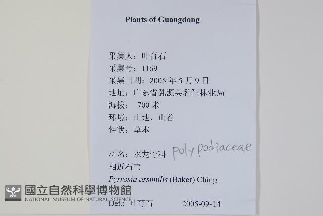 Accession Number:P012612 Collection Image, Figure 2, Total 2 Figures