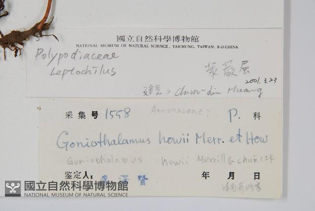 登錄號:P003612藏品圖，第2張