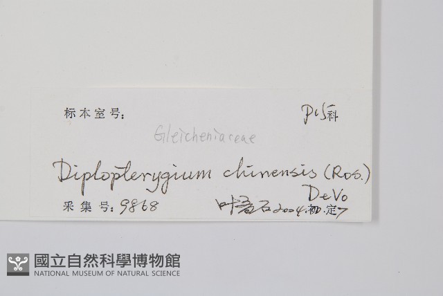 中華裡白藏品圖，第2張