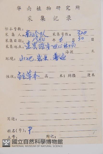 假蹄蓋蕨藏品圖，第5張