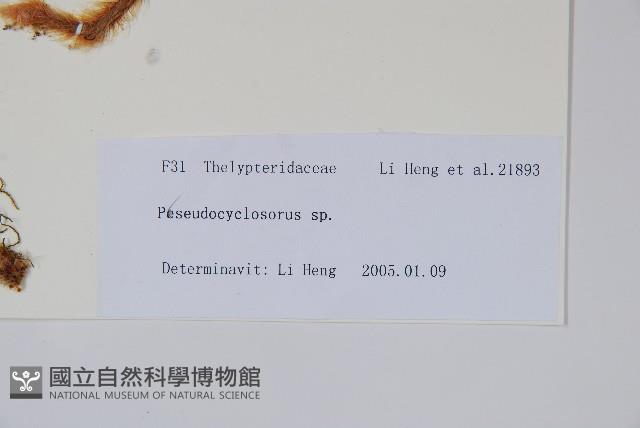 登錄號:P010812藏品圖，第2張