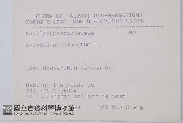 石松藏品圖，第2張