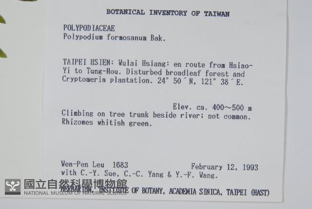 臺灣水龍骨藏品圖，第2張