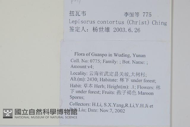 扭瓦葦藏品圖，第2張