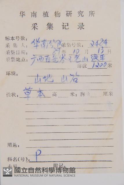 日本蹄蓋蕨藏品圖，第1張