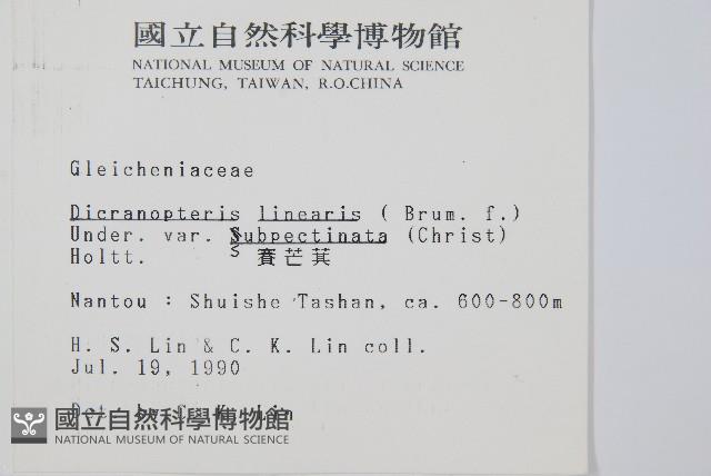 賽芒萁藏品圖，第2張