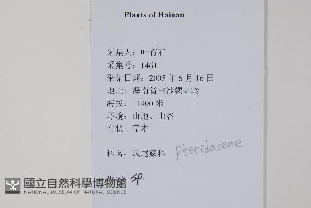 登錄號:P012652藏品圖，第2張