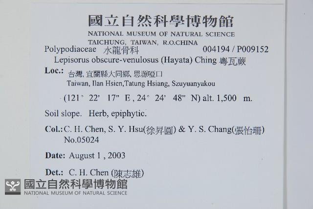 粵瓦葦藏品圖，第2張