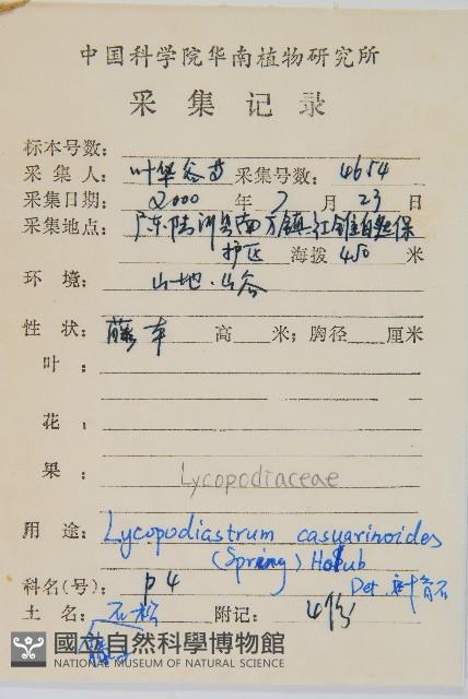 藤石松藏品圖，第2張