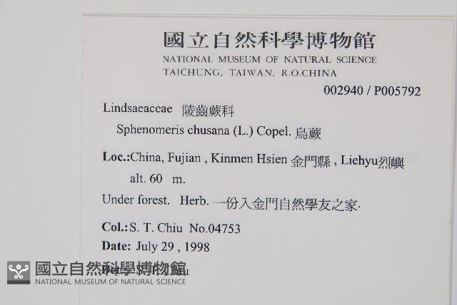 烏蕨藏品圖，第2張