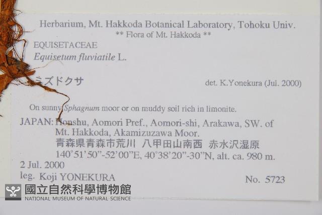 登錄號:P008092藏品圖，第2張