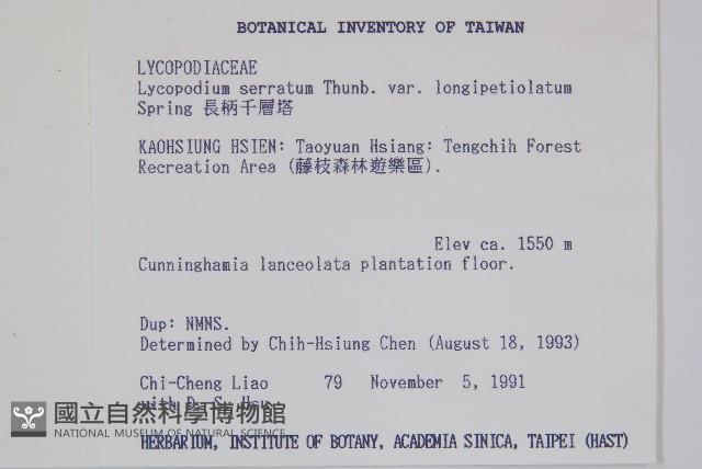 長柄千層塔藏品圖，第2張