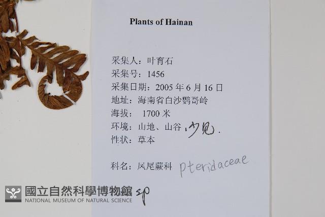 登錄號:P012592藏品圖，第2張