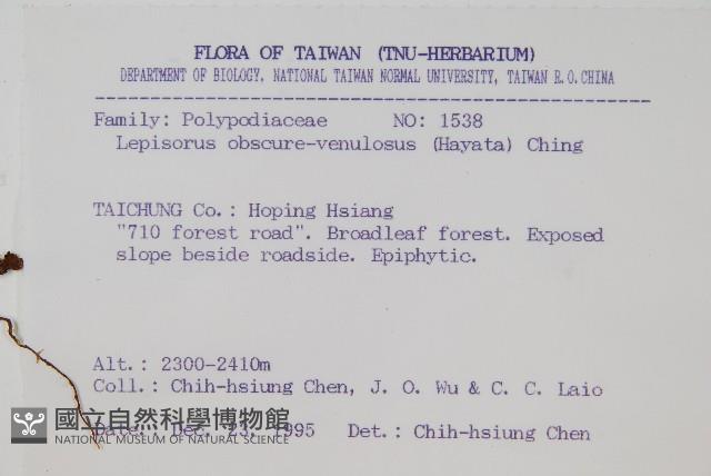 粵瓦葦藏品圖，第2張
