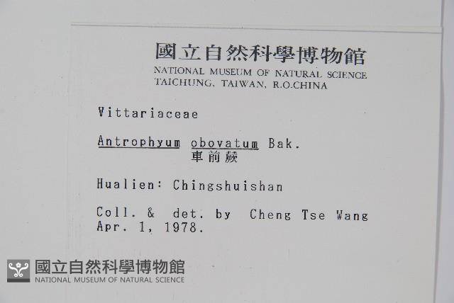 Accession Number:P001392 Collection Image, Figure 2, Total 2 Figures