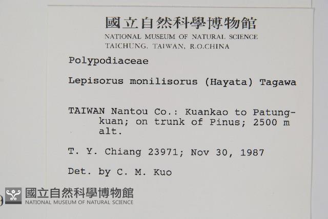 擬芨瓦葦藏品圖，第2張