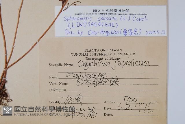 烏蕨藏品圖，第2張