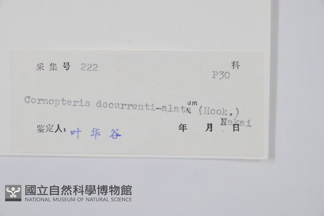 貞蕨藏品圖，第2張