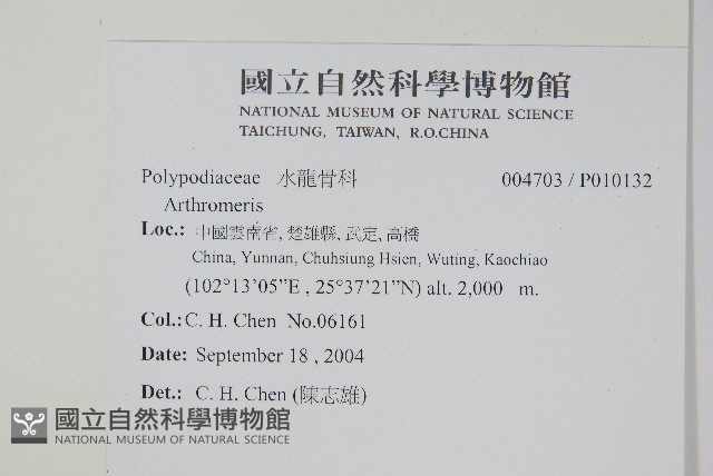 登錄號:P010132藏品圖，第2張