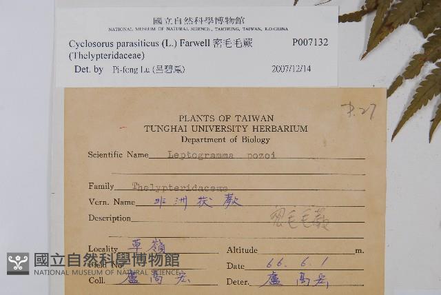 Accession Number:P007132 Collection Image, Figure 2, Total 2 Figures