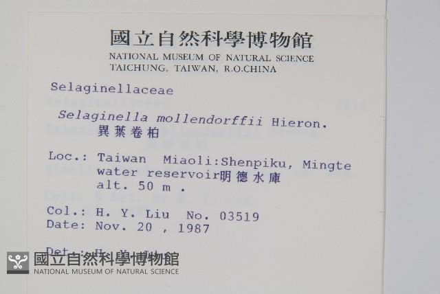 Accession Number:P002032 Collection Image, Figure 2, Total 2 Figures