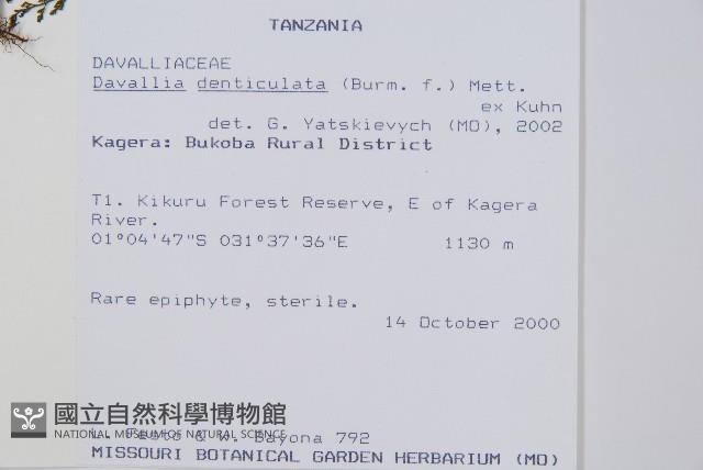 登錄號:P010032藏品圖，第2張