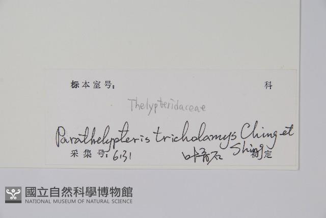 登錄號:P010532藏品圖，第2張